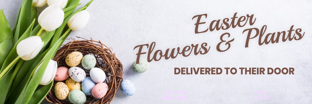 Flower Delivery to Fairfield by Hansen's Flower Shop